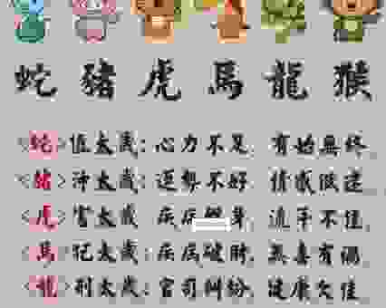 冷若冰霜的生肖答案是什么？这个解释让你恍然大悟！
