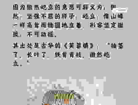 笔伐口诛打一生肖是啥？专家教你快速找出答案