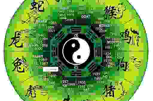 数九寒天打一准确生肖啥？老司机教你轻松猜！