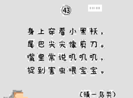 玩转猜谜，雁过拔毛打一生肖，快来一起揭晓！