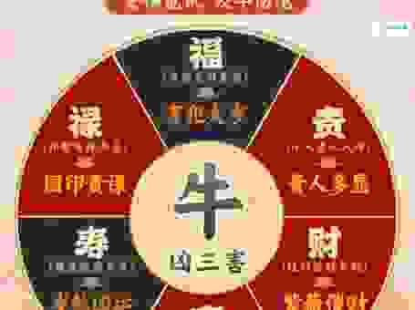 关于时来运转打一最佳生肖的秘密，内行人告诉你！