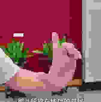 左右开弓打一数字，猜猜看你会不会？