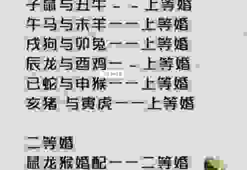 生肖马和猪有什么关系？马放南山猪拱门猜生肖！
