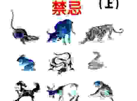 偷合取容打一肖是什么？这个生肖的特征大揭秘！