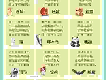 走南闯北打一最佳动物，轻松破解谜题原来是它！