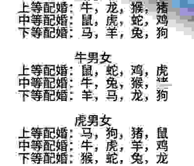 一举两失最正确生肖是哪个？生肖配对指南来了！
