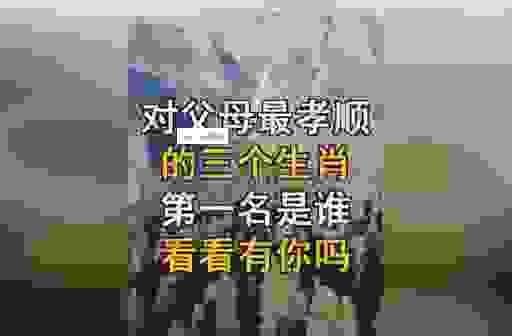 母慈子孝是什么生肖？看看哪个生肖最懂孝顺