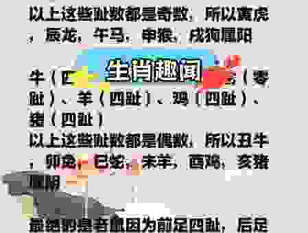 温故知新打一准确生肖，揭秘最可能的答案！