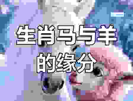 顺手牵羊代表的生肖是什么?这些动物最像!