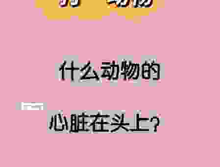 狭路相逢打一动物，答案居然是这个！太巧了