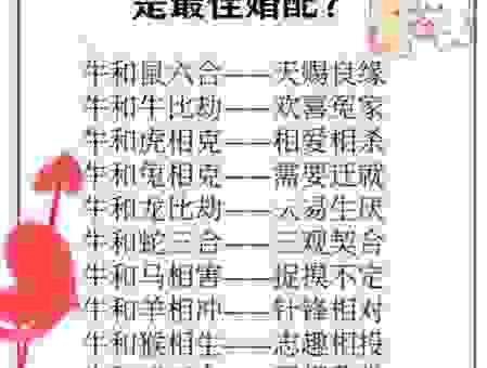 问牛知马打一生肖，原来生肖的这些信息是真的
