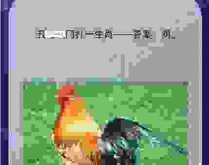 阴疑阳战打一生肖怎么猜？这些技巧让答案一目了然