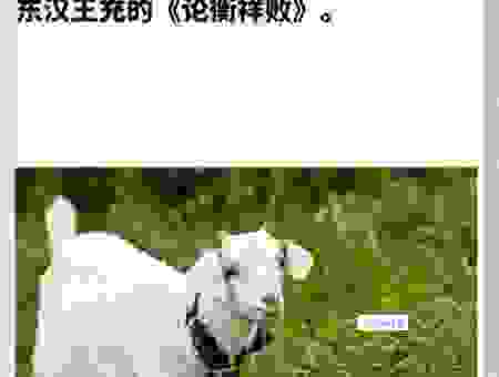 不古不今的生肖是哪个?老农看一眼就知道!