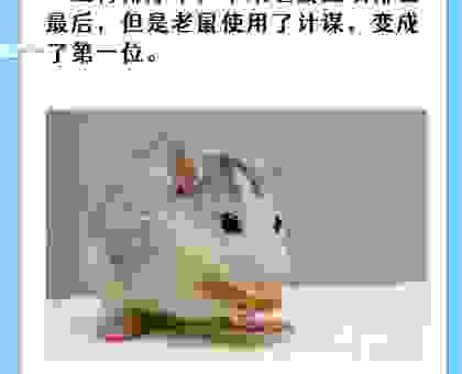 失足落水打一生肖谜底，这个生肖很多人想不到！