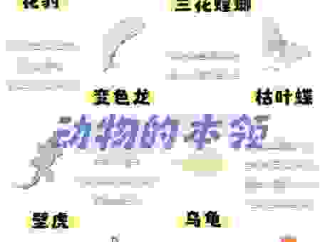 绳趋尺步动物大盘点,了解它们的生活小知识