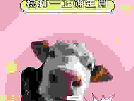 顶天立地打一正确生肖,你知道是哪个吗?