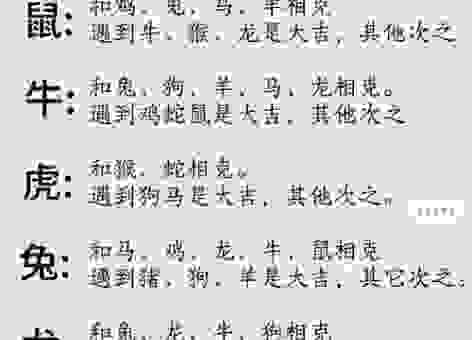 耳聪目明打一准确生肖是哪个?看完分析你就明白了!