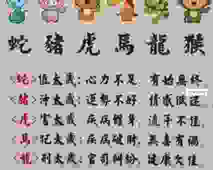 田父之功打一肖,这个生肖你猜对了吗?