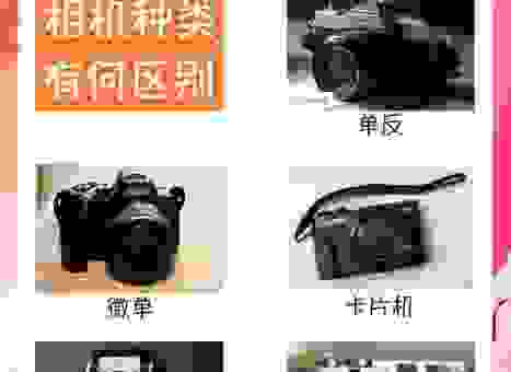 相机而行什么意思?轻松理解这个成语的含义