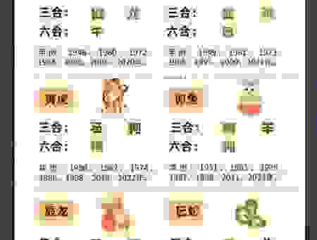 夯雀先飞打一准确生肖是什么？这里有详细解读！