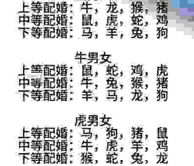 关于盘龙之癖的生肖配对，最佳答案都在这里！