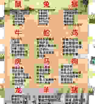 冰天雪地是什么生肖？看完你就明白了