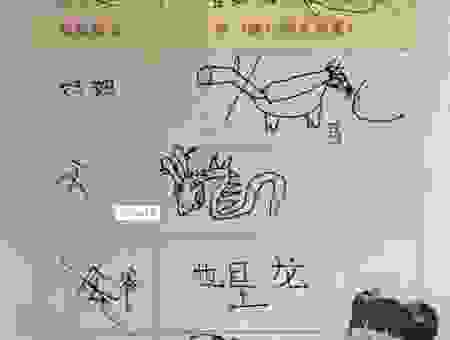 张皇失措是什么生肖?揭秘十二生肖中的“惊吓王”!