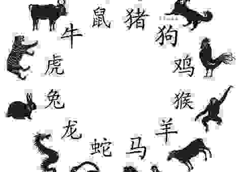 五里雾中指什么生肖？老易说答案就在这！