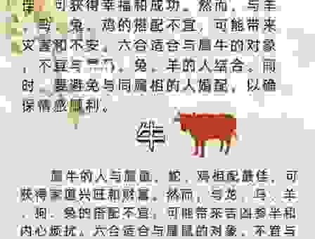 五里雾中指什么生肖?老易说答案就在这!