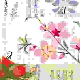 想知道殊深轸念打一肖的答案？这里有详细讲解