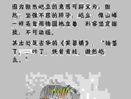 浅寒春尽飞红晚打一生肖，答案竟然是它！
