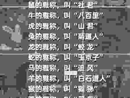 殷鉴不远是指什么生肖？了解十二生肖的隐藏信息。