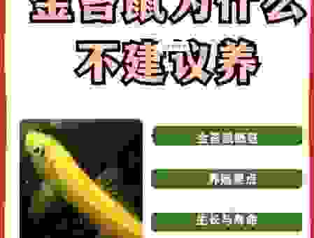 坐收渔利打一最佳动物，看完你就知道答案是什么！