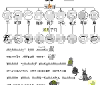 北门南牙说生肖，属龙的人有什么特点？