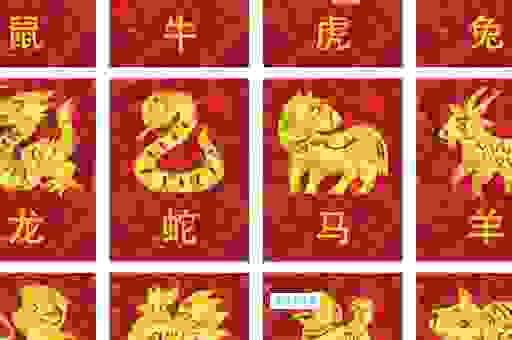千丝万缕打一精准生肖，这个生肖藏着大秘密！