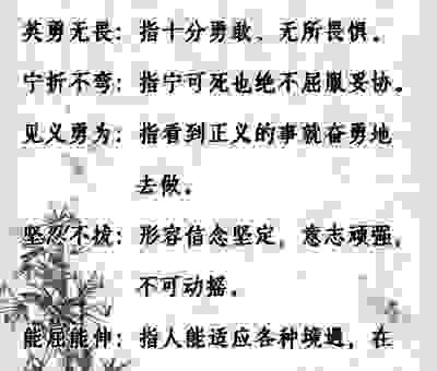 勇往直前的动物，用行动告诉你什么是真正的无畏。