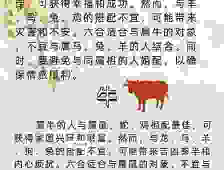 挂一漏万跟哪个生肖有关?揭秘背后隐藏的秘密!