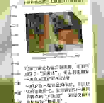 金猴献瑞指什么生肖？原来是它，很多人都不知道！