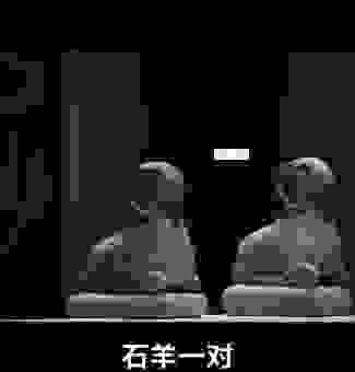 悬驼就石是什么动物?常见误解与真实答案!