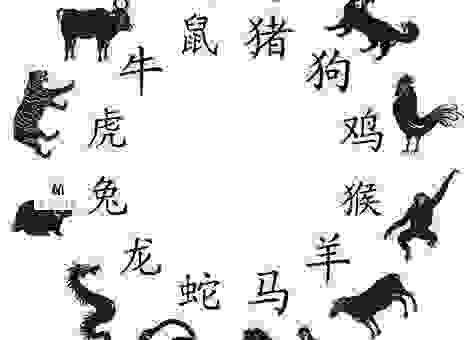 戎事倥偬猜一生肖，这个生肖特点很突出！