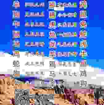 北门南牙打一正确生肖找答案,这些提示你不能错过!
