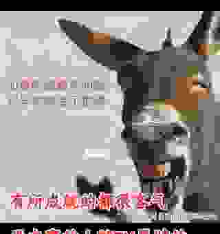 引风吹火的动物是什么？听老人怎么说！