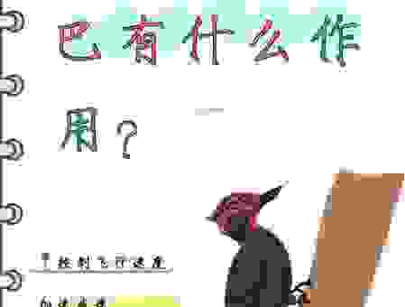 引风吹火的动物是什么?听老人怎么说!