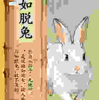 惊猿脱兔打一生肖，这个生肖真的非常特别！