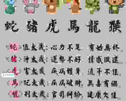 想知道狼奔豕突是什么生肖吗？答案就在这里！
