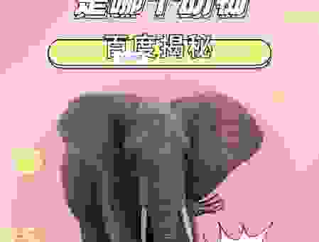 当头一棒打一动物是不是真的？这些线索告诉你真相！