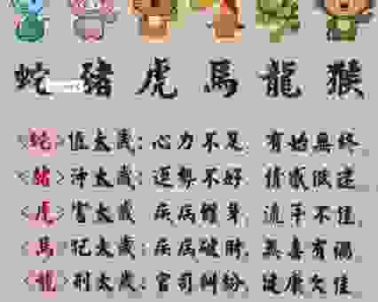 金无足赤是什么生肖？这个生肖特质你一定想不到