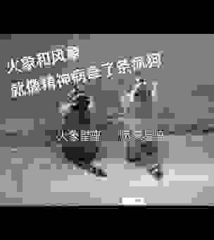 引风吹火是什么动物？这个答案真的没想到！
