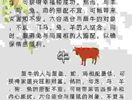 心如刀割打一最佳生肖是什么？过来看看这个答案才叫绝！