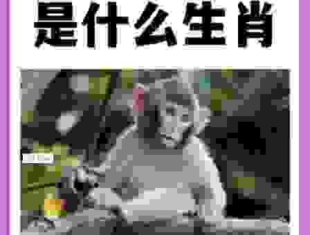 才高七斗差一升的生肖是谁?这个谜题很简单!